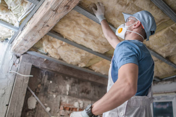 Best Attic Insulation Installation  in Moores Mill, AL